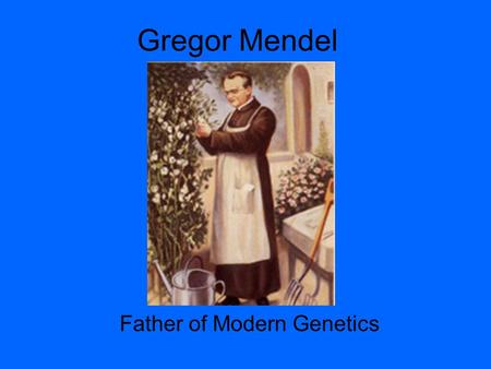 Gregor Mendel Father of Modern Genetics. Gregor Mendel Father of modern Genetics.