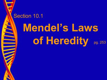 Section 10.1 Mendel’s Laws of Heredity pg. 253. WHY MENDEL SUCCEEDED Gregor Mendel (1822-1884) Austrian Monk known as the “father of modern genetics”