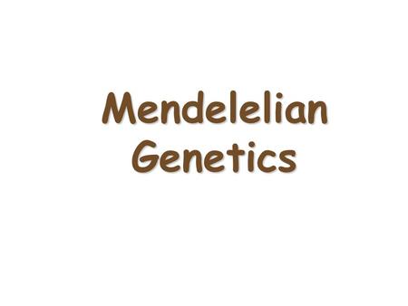 1 Mendelelian Genetics 2 Gregor Mendel (1822-1884) Responsible for the Laws governing Inheritance of Traits.