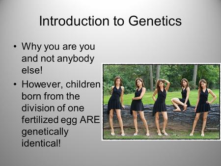Introduction to Genetics Why you are you and not anybody else! However, children born from the division of one fertilized egg ARE genetically identical!