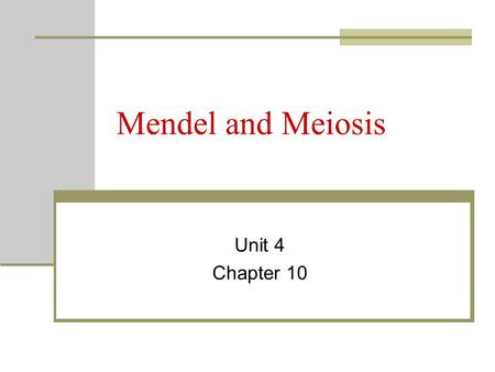 Mendel and Meiosis Unit 4 Chapter 10.