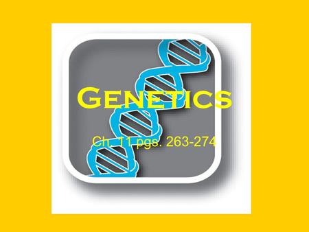 Genetics Ch. 11 pgs. 263-274. What is Genetics? The study of heredity Passing of traits from one generation to the next.