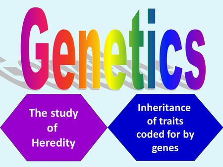 Genetics The study of Heredity Inheritance of traits coded for by