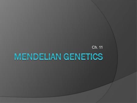 Ch. 11 Mendelian Genetics.
