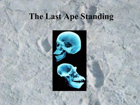 The Last Ape Standing. It is therefore probable that Africa was formerly inhabited by extinct apes closely allied to the gorilla and chimpanzee: and as.