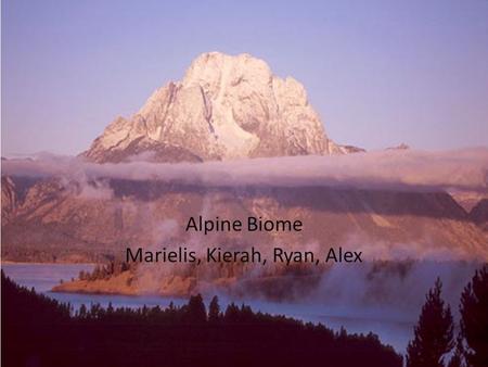 Alpine Biome Marielis, Kierah, Ryan, Alex. Table of Contents Map of the Alpine Physical Landscape Plant Life Animal Life Human Influences.