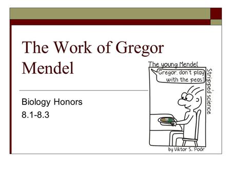 The Work of Gregor Mendel Biology Honors 8.1-8.3.