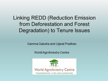 Linking REDD (Reduction Emission from Deforestation and Forest Degradation) to Tenure Issues Gamma Galudra and Ujjwal Pradhan World Agroforestry Centre.