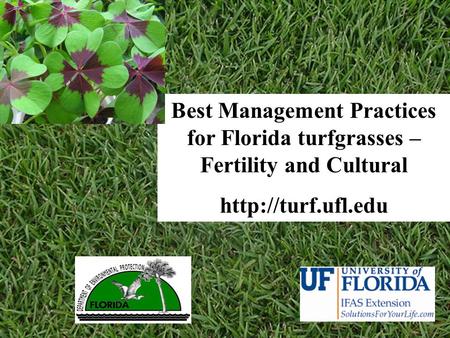 Best Management Practices for Florida turfgrasses – Fertility and Cultural http://turf.ufl.edu.