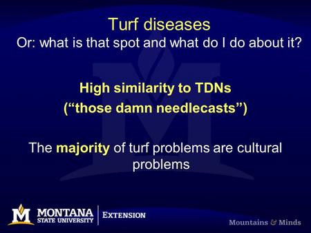 Turf diseases Or: what is that spot and what do I do about it? High similarity to TDNs (“those damn needlecasts”) The majority of turf problems are cultural.