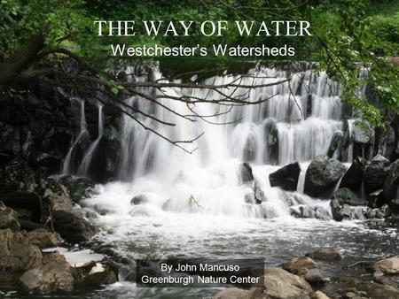 THE WAY OF WATER Westchester’s Watersheds By John Mancuso Greenburgh Nature Center.
