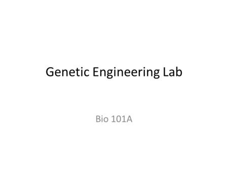 Genetic Engineering Lab Bio 101A. Brief Overview of Lab Objectives 1.Obtain Bacterial DNA (plasmids-pAMP and pKAN) 2.Cut DNA into specific pieces using.