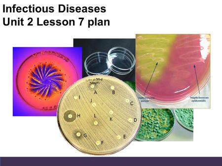A B C D E F G H I J L K Infectious Diseases Unit 2 Lesson 7 plan.