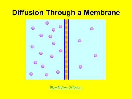 Diffusion Through a Membrane