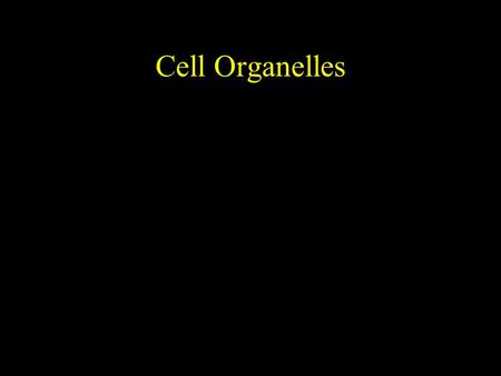 Cell Organelles. Cell Membrane Controls chemical traffic in and out of the cell Selectively Permeable 8 nm thick.