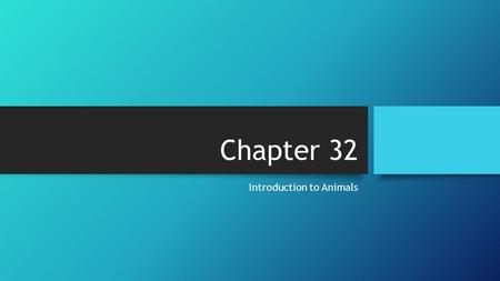 Chapter 32 Introduction to Animals. Characteristics Multicellular Specialization (cells, tissue, organs, and organ systems = particular function) Heterotrophs.