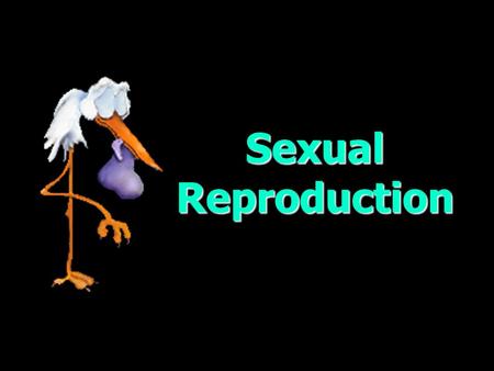 Sexual Reproduction.