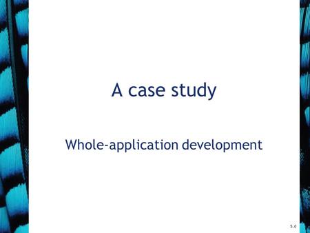 A case study Whole-application development 5.0. 2 The case study A taxi company is considering expansion. –It operates taxis and shuttles. Will expansion.