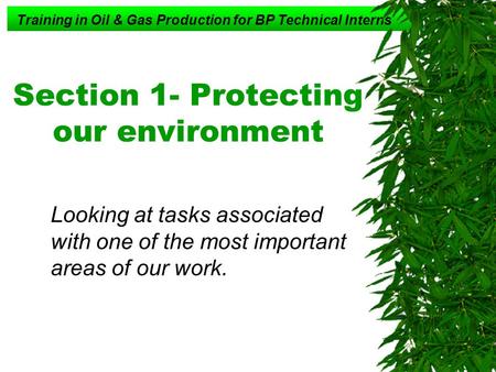 Training in Oil & Gas Production for BP Technical Interns Section 1- Protecting our environment Looking at tasks associated with one of the most important.