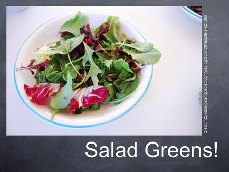 Salad Greens! Credit: