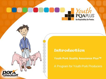 Introduction Youth Pork Quality Assurance Plus TM A Program for Youth Pork Producers.