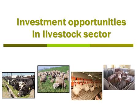 Investment opportunities in livestock sector. TABLE OF CONTENTS  Legal framework  Structure of livestock sector  Favorable regions for animal husbandry.