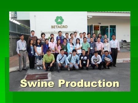 Swine Production. Group Members  1) Mr. Xu Tianxiang(China)  2) Ms. Pak Sarinny(Cambodia)  3) Mr. Sea Visalrath(Cambodia)  4) Mr. Tous Somaneath(Cambodia)