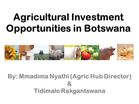 Agricultural Investment Opportunities in Botswana By: Mmadima Nyathi (Agric Hub Director) & Tidimalo Rakgantswana.