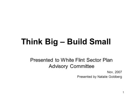 1 Think Big – Build Small Presented to White Flint Sector Plan Advisory Committee Nov, 2007 Presented by Natalie Goldberg.