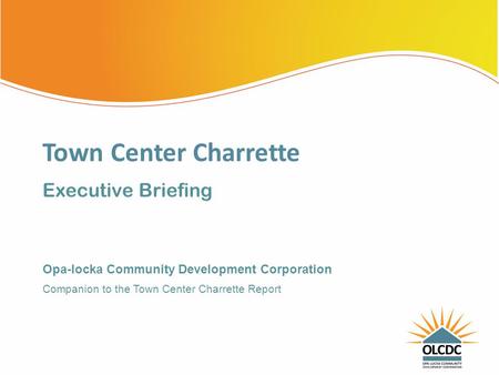 Executive Briefing Town Center Charrette Companion to the Town Center Charrette Report Opa-locka Community Development Corporation.