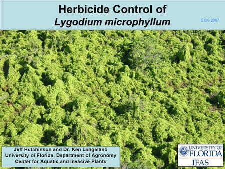 Herbicide Control of Lygodium microphyllum Jeff Hutchinson and Dr. Ken Langeland University of Florida, Department of Agronomy Center for Aquatic and Invasive.