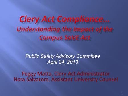 1 Public Safety Advisory Committee April 24, 2013.