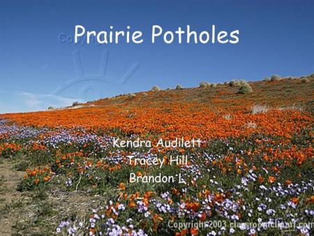 Prairie Potholes Kendra Audilett Tracey Hill Brandon L.
