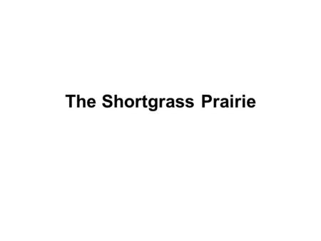 The Shortgrass Prairie. Plants of the Shortgrass Prairie 1.Bouteloua gracilis- Blue grama 2.Buchloe dactyloides- Buffalograss 3.Agropyron.