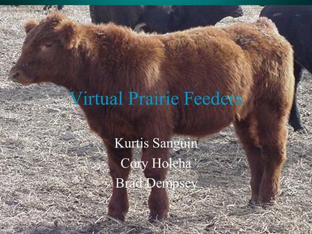 Virtual Prairie Feeders Kurtis Sanguin Cory Holeha Brad Dempsey.
