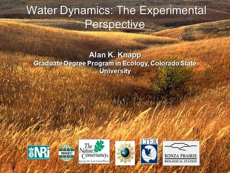 Water Dynamics: The Experimental Perspective Alan K. Knapp Graduate Degree Program in Ecology, Colorado State University.