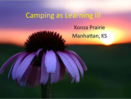 Camping as Learning III Konza Prairie Manhattan, KS.