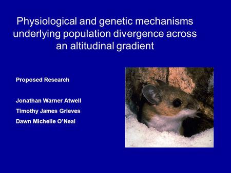 Physiological and genetic mechanisms underlying population divergence across an altitudinal gradient Proposed Research Jonathan Warner Atwell Timothy James.