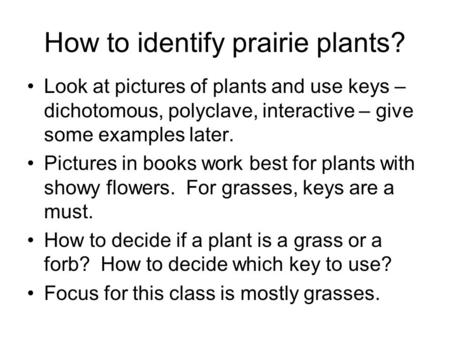 How to identify prairie plants? Look at pictures of plants and use keys – dichotomous, polyclave, interactive – give some examples later. Pictures in books.