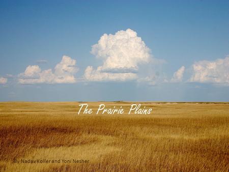 The Prairie Plains By Nadav Koller and Yoni Nesher.