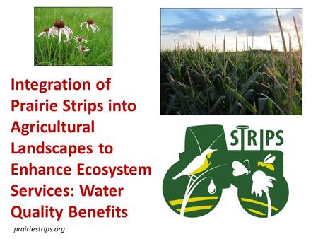 Integration of Prairie Strips into Agricultural Landscapes to Enhance Ecosystem Services: Water Quality Benefits It’s all about multifunctionality… and.