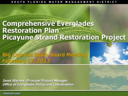 Comprehensive Everglades Restoration Plan Picayune Strand Restoration Project Janet Starnes, Principal Project Manager Office of Everglades Policy and.