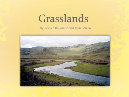 Grasslands. Grasslands Facts There are three types of grasslands: Tall grasslands have very tall grass, up to 5 feet tall, and they get almost 30 inches.