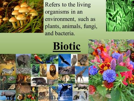 Biotic Refers to the living organisms in an environment, such as plants, animals, fungi, and bacteria.