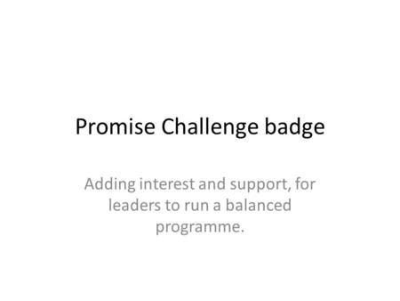 Promise Challenge badge Adding interest and support, for leaders to run a balanced programme.