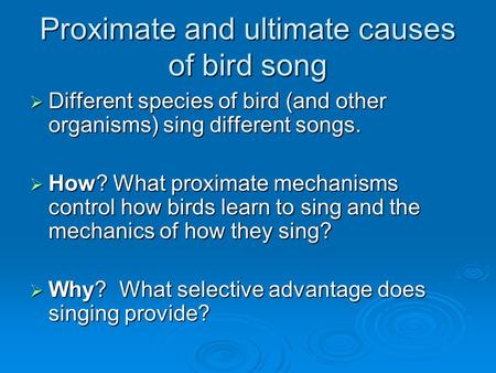 Proximate and ultimate causes of bird song  Different species of bird (and other organisms) sing different songs.  How? What proximate mechanisms control.