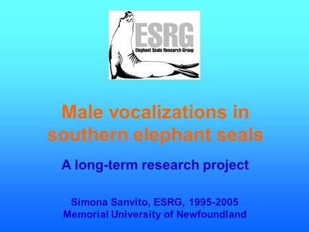 Male vocalizations in southern elephant seals A long-term research project Simona Sanvito, ESRG, 1995-2005 Memorial University of Newfoundland.