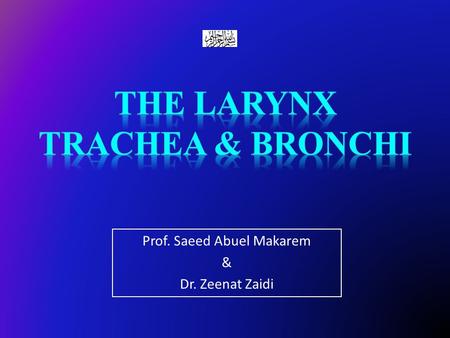 Prof. Saeed Abuel Makarem & Dr. Zeenat Zaidi. Objectives At the end of the lecture, the students should be able to: Describe the Extent, structure and.