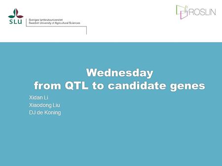 Wednesday from QTL to candidate genes Xidan Li Xiaodong Liu DJ de Koning.