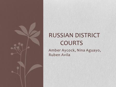 Amber Aycock, Nina Aguayo, Ruben Avila RUSSIAN DISTRICT COURTS.